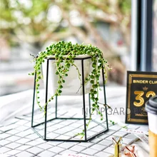 Decorative Black Iron Rack Holder with Ceramic Planter Pot for Succulents Herbs Cactus Plants Coffee Table