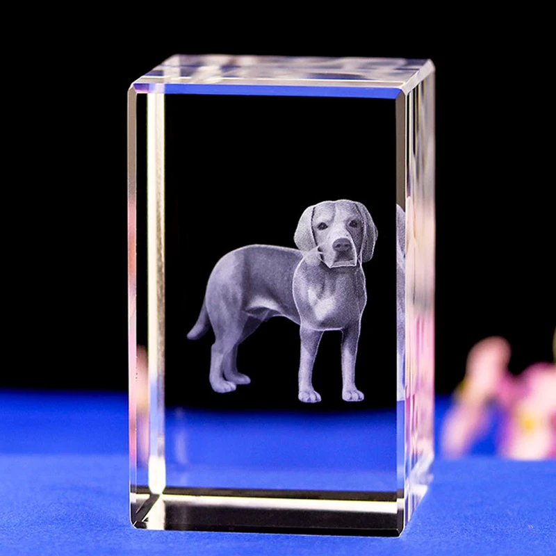cute dog night light