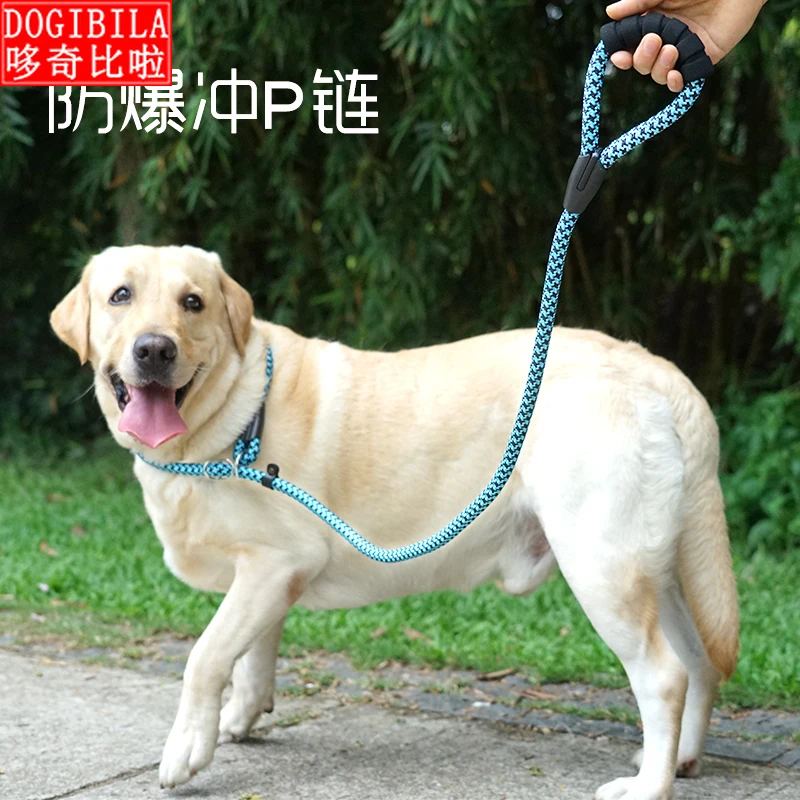 Pet traction rope P-chain Training Rope Labrador golden hair explosion-proof punch dog necklace collar big dog walk dog chain