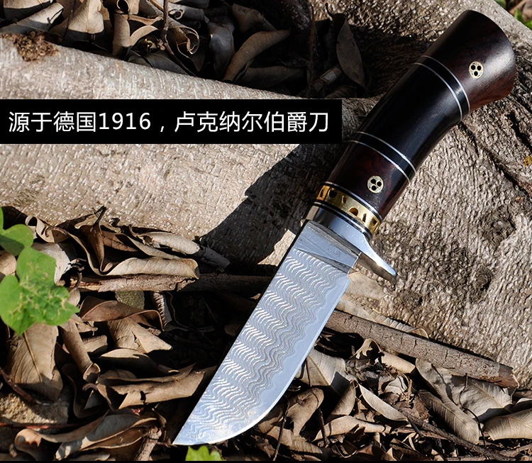 TB23E1_XHJkpuFjy1zcXXa5FFXa_!!504445211