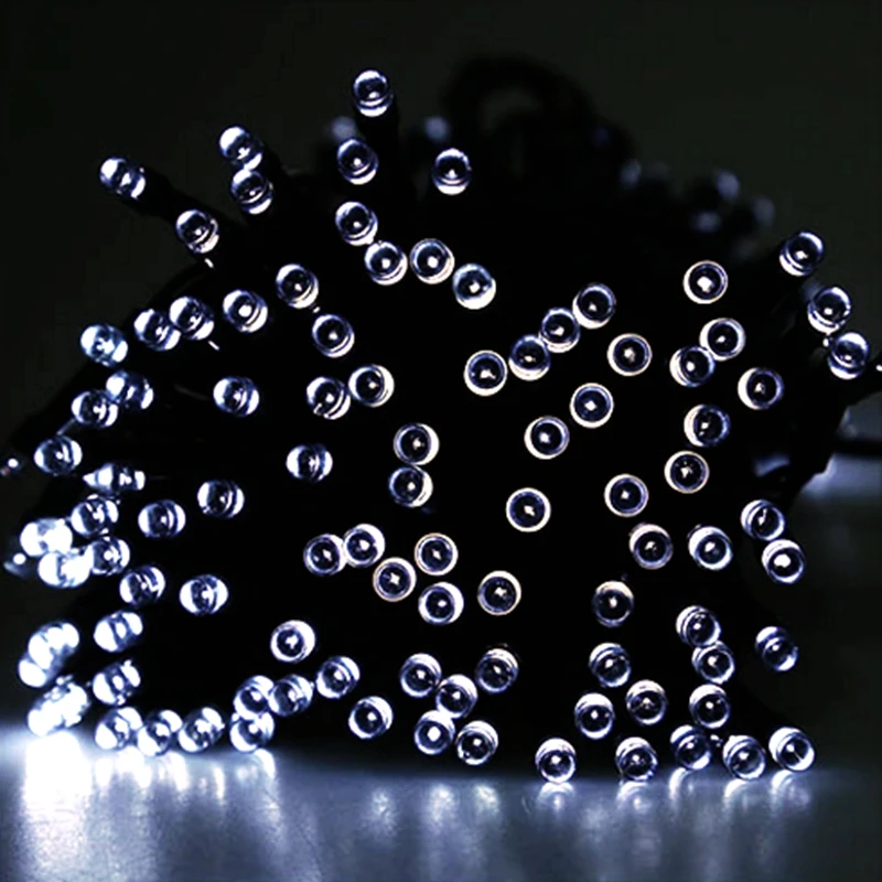 xin11
