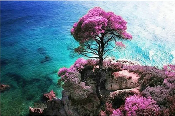 5D Diamond Embroidery pattern full Square Rhinestone mosaic Needlework Diy Painting Cross Stitch landscape sea tree icon | Дом и сад