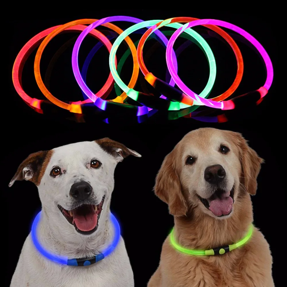 rainbow led dog collar