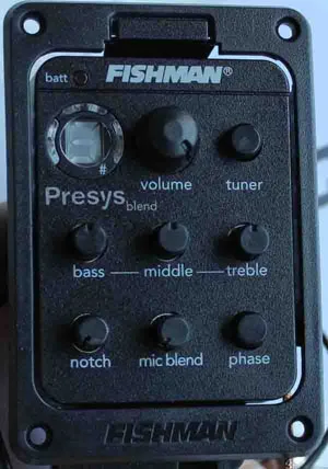 FISHMAN presys blend 301 (2)