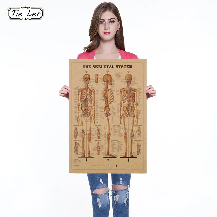 

1PC The Skeleton of The Body Structure Nervous System Poster Bar Home Decor Retro Kraft Paper Painting 42x29cm Wall Sticker