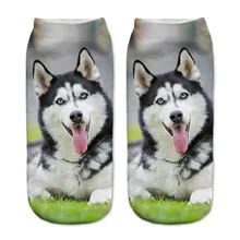 Лидер продаж; хлопковые носки с 3D принтом; милые носки с принтом большой собаки; повседневные женские носки на низком каблуке; Chaussettes