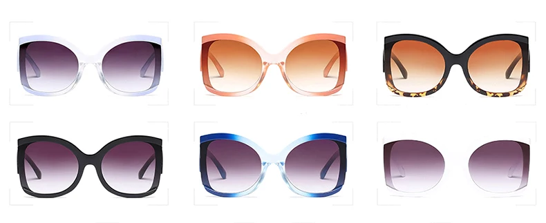 5315812910_178014656