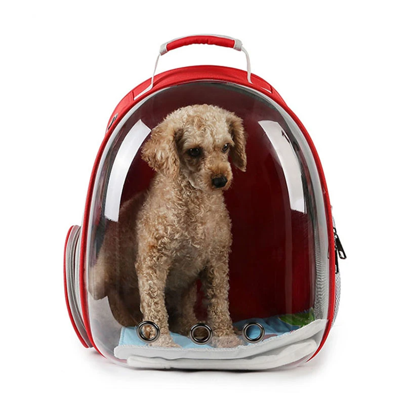 small dog carry crate