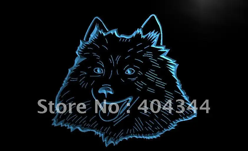 LK259- American Eskimo Dog Pet LED Neon Light Sign home decor crafts | Дом и сад
