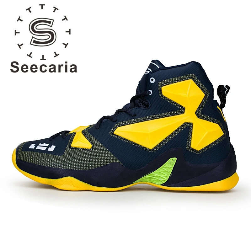 scarpe da basket lebron james