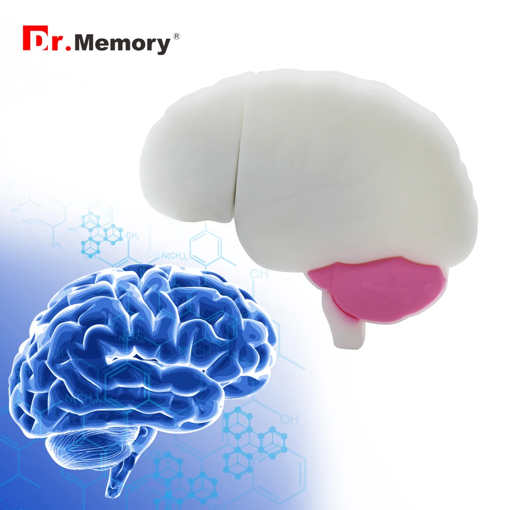 Dr. memory Cute Cartoon Brain модель Флешка 128 ГБ Usb Flsh Drive 64 ГБ 32 ГБ 16 ГБ 8 ГБ 4 ГБ реальная емкость Usb Memory Stick