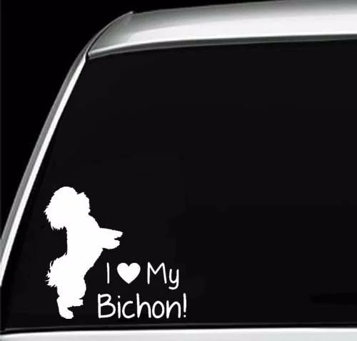 Pioneer Vinyl Decal Decal for laptop windows wall car boat
