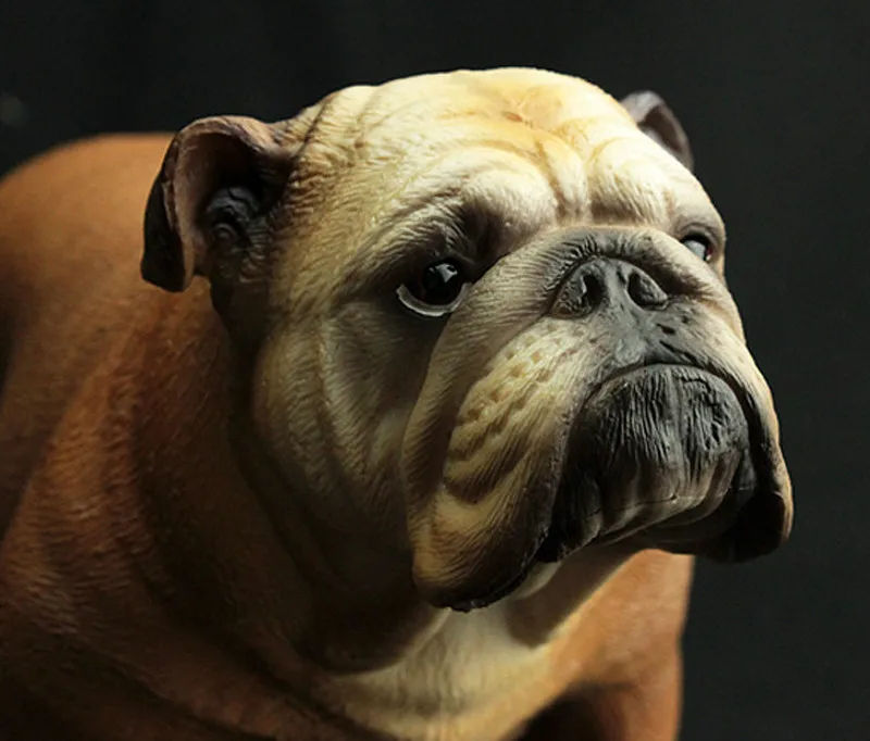 

Classic France Bulldog Simulation Big Size Dog Animal Action Figure Model Figurines Educational Toy for Kid Gift