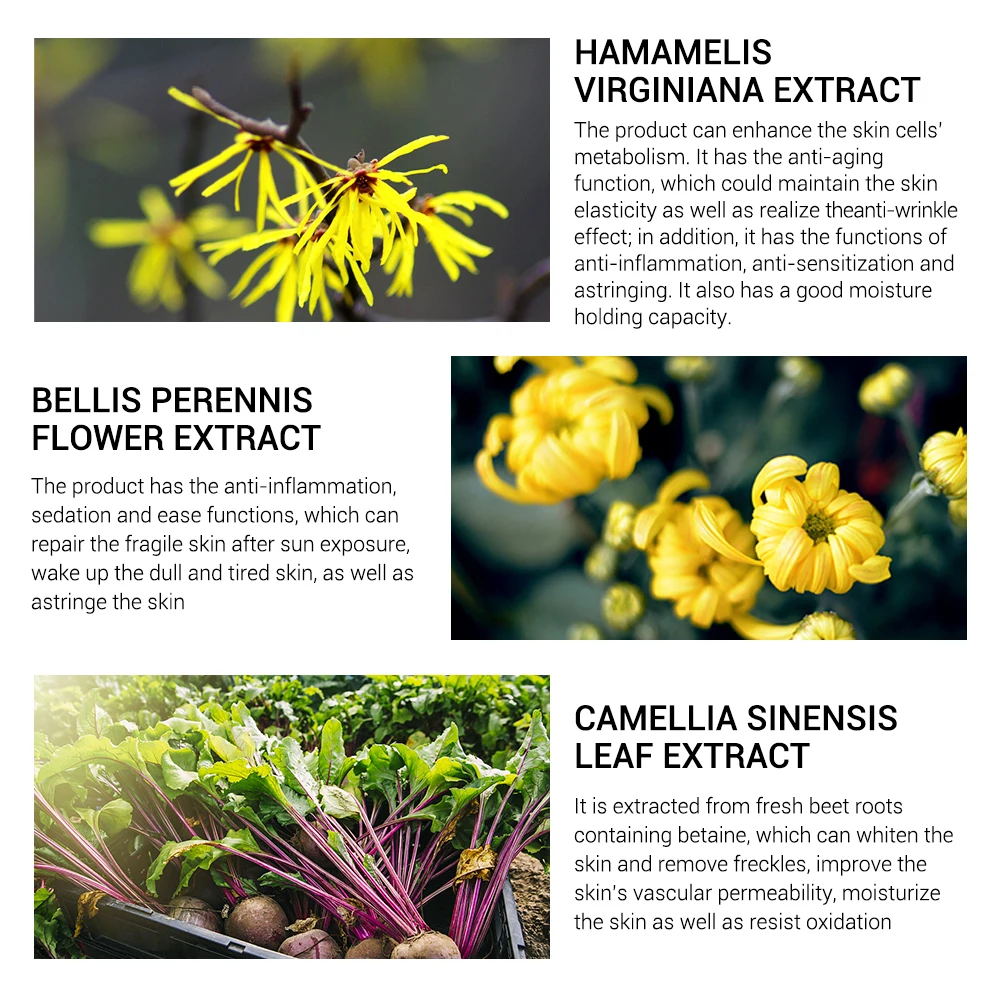 LANBENA Pore Treatment Serum Essence Shrink Pores Relieve Dryness Oil Control Firming Moisturizing Repairing Smooth Skin 5