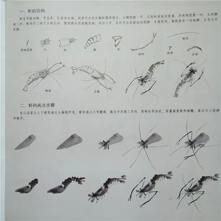 Традиции китайской живописи технических навыков-как рисовать креветки и краб написан zhangjixin
