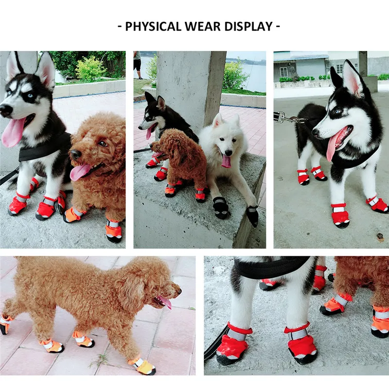 10189342328_1763473991_