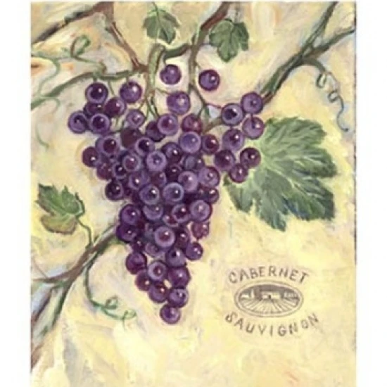 Cabernet Sauvignon Poster Print by Theresa Kasun (10 x 13)