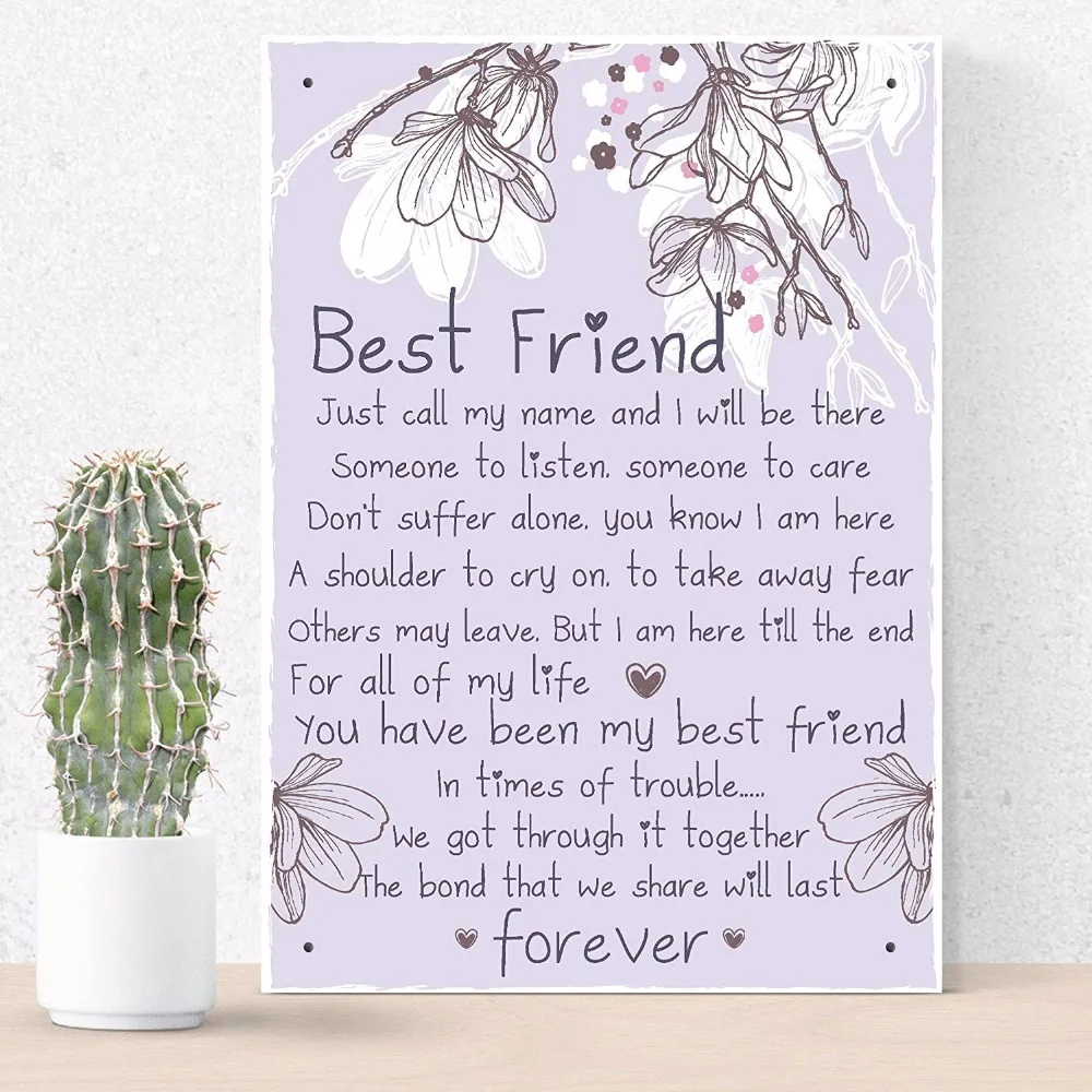 meijiafei friendship gift best