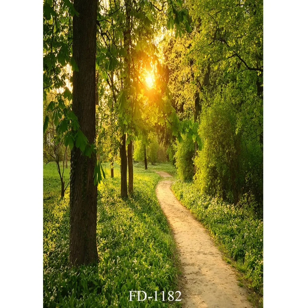 Фон для фотосъемки в парке Walkway Sunset реквизит фотосессии детей Детская душевая