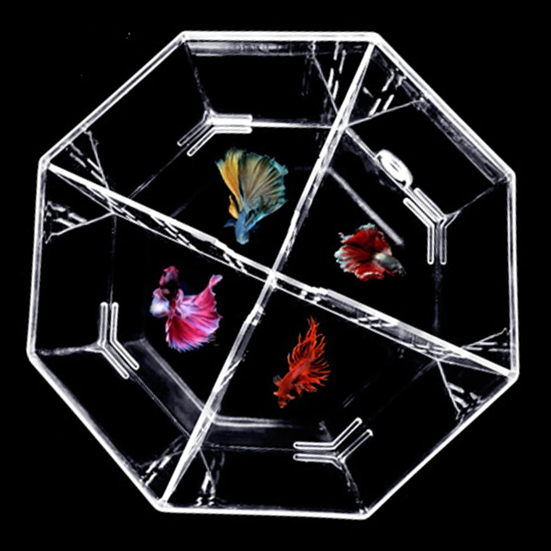 

PETFORU Bettas Fish Tank with Flower Basket Pump Pipe Fixed Plate