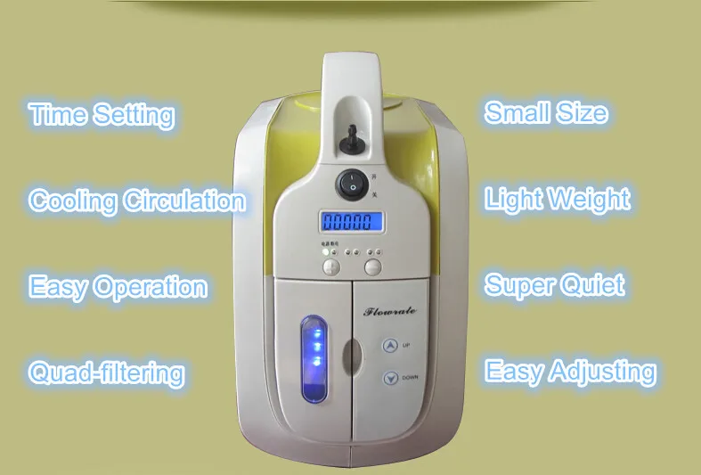 DC12V 110V 220V Oxygen Concentrator Portable Oxygen Generator for Health Care Medical and Beauty Use Rejuvenate Oxygen Injector