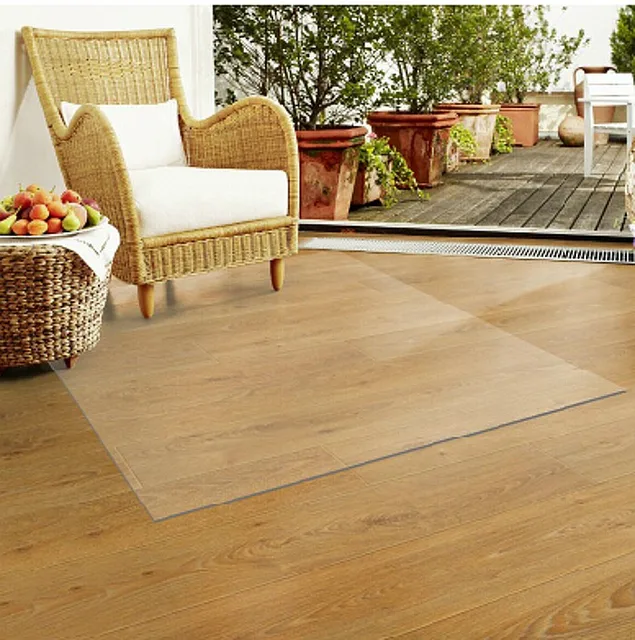 2018 new creative pvc floor mat 1.5mm thick transparent Carpet Rugs PVC