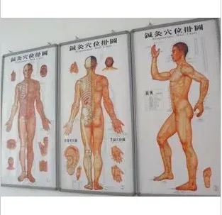 3 шт./7 шт. голографические точки для акупунктуры|massage acupuncture|massage massagesacupuncture massager |