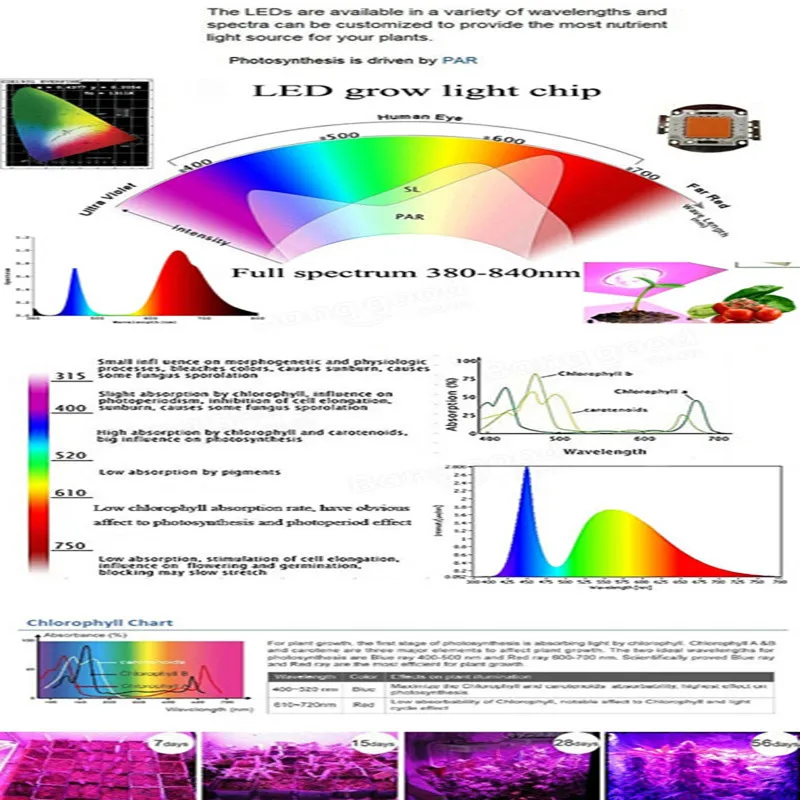 Супер Мощность E14/GU10/E27 15 Вт LED завода светать высокое качество Профессия СВЕТОДИОДНЫЕ полный спектр коралловый риф завод 20 шт./партия