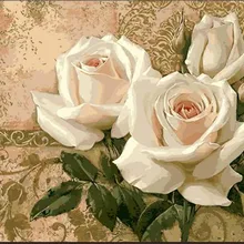 Красивый большой белый цветок напечатанный DIY Цифровая картина маслом по номерам ручная роспись маслом 40x50 см без рамки