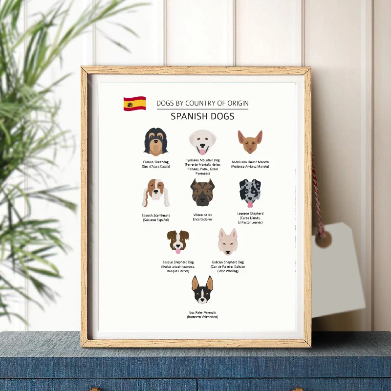 Spanish Dog Breeds Prints Home Decor
