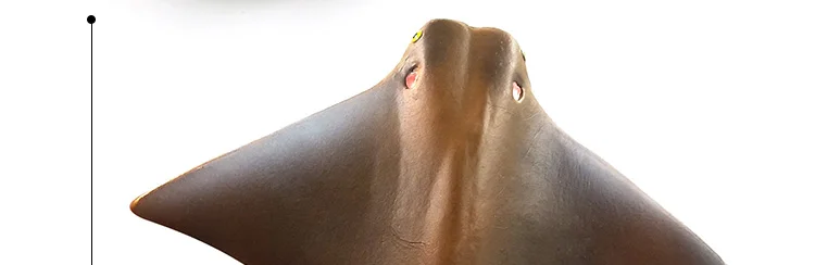 -4---DW-M-LP490-607-608-828_09