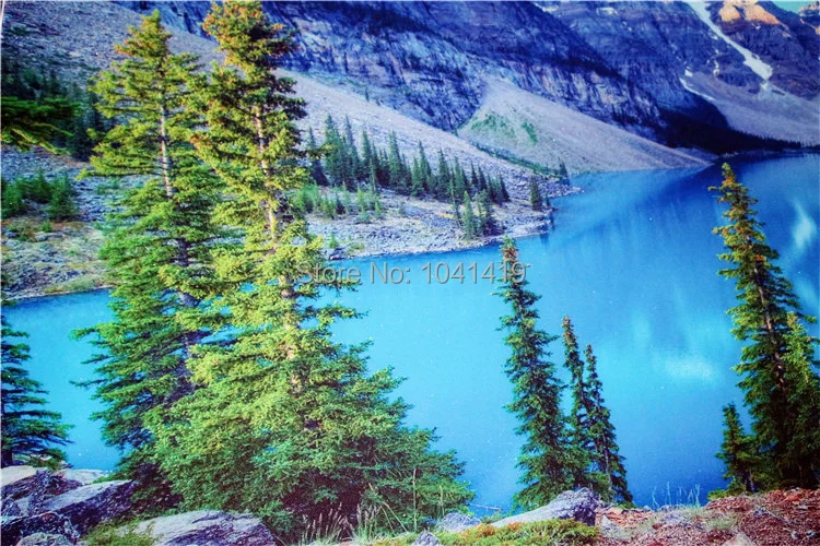 naturais, neve, montanha, floresta, lago, mural de