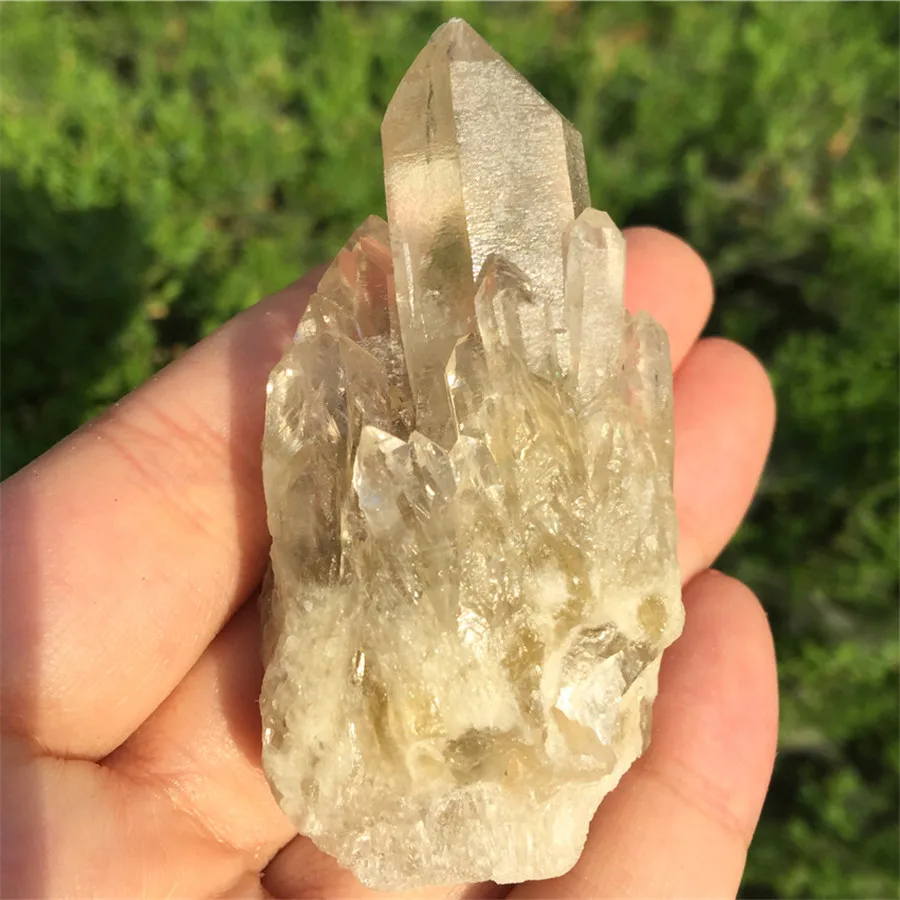 

Natural Yellow Crystal Quartz Citrine Cluster Mineral Specimen Healing Hot New Natural Citrine Cluster Crystal Home Decor 1pcs
