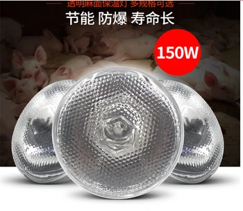 

Aquaculture insulation bulb 150W waterproof infrared heating piglets nursery incubator insulation farmer lamp