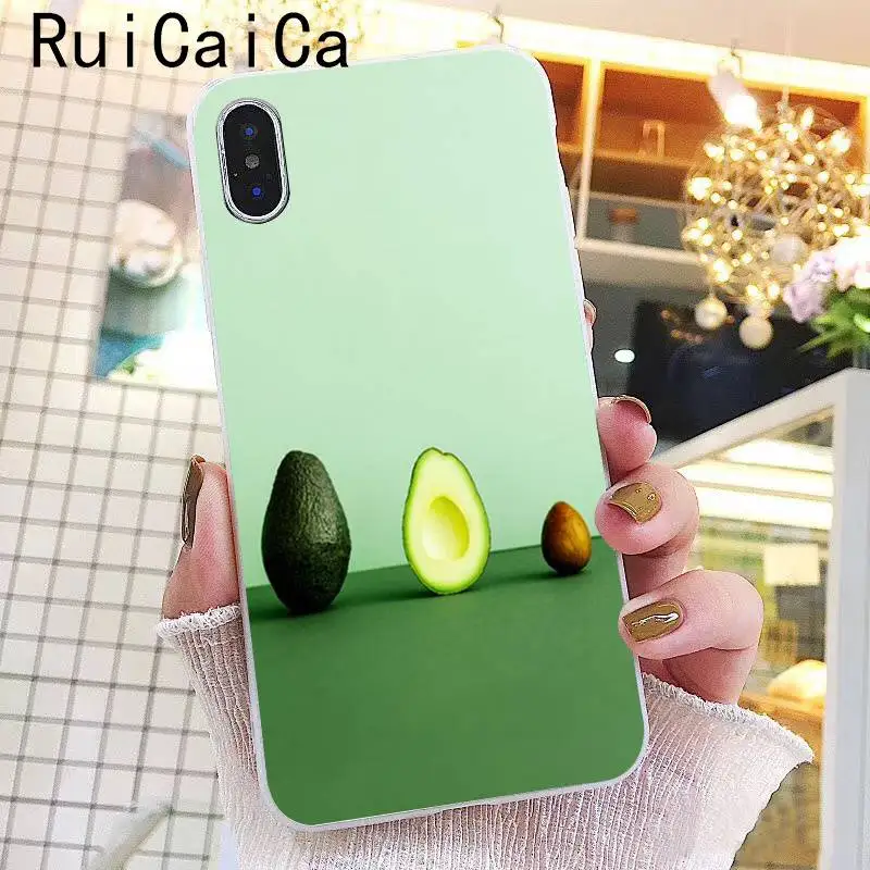 Avocado fruit Cartoon