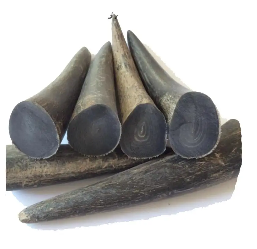 Natural black buffalo Ox horn bone Engraving material