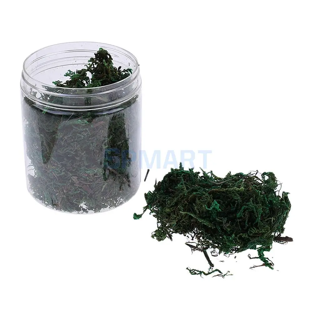 100ML/500ML Dry Grass Model Moss for Layout Terrain Vegetation Diorama Building Toy
