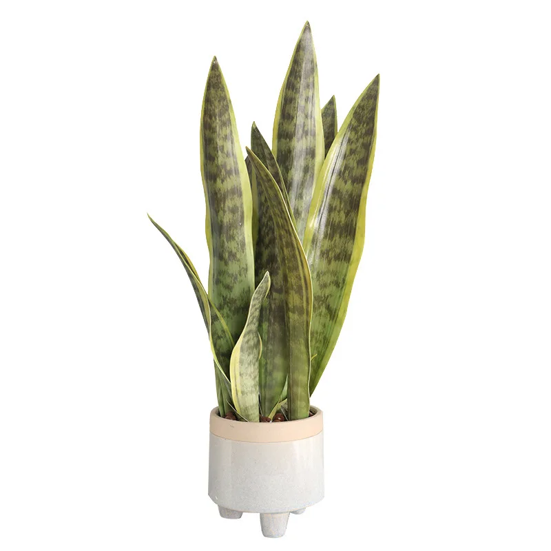 Искусственные растения в пустыне, искусственные цветы Sansevieria Trifasciata имитация суккулента Agave растение домашний офис магазин садовый декор