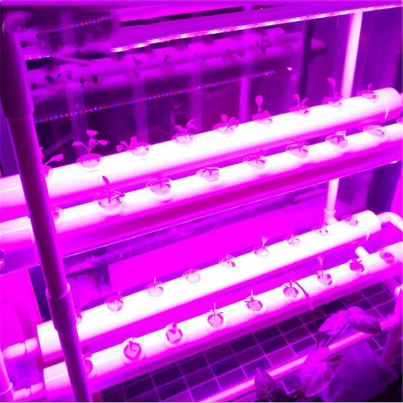 Переменный ток 110 В 220 в полный спектр Светодиодная лампа для выращивания 6 Вт 10 Вт энергосберегающая лампа для выращивания растений для растений, выращиваемых в теплице