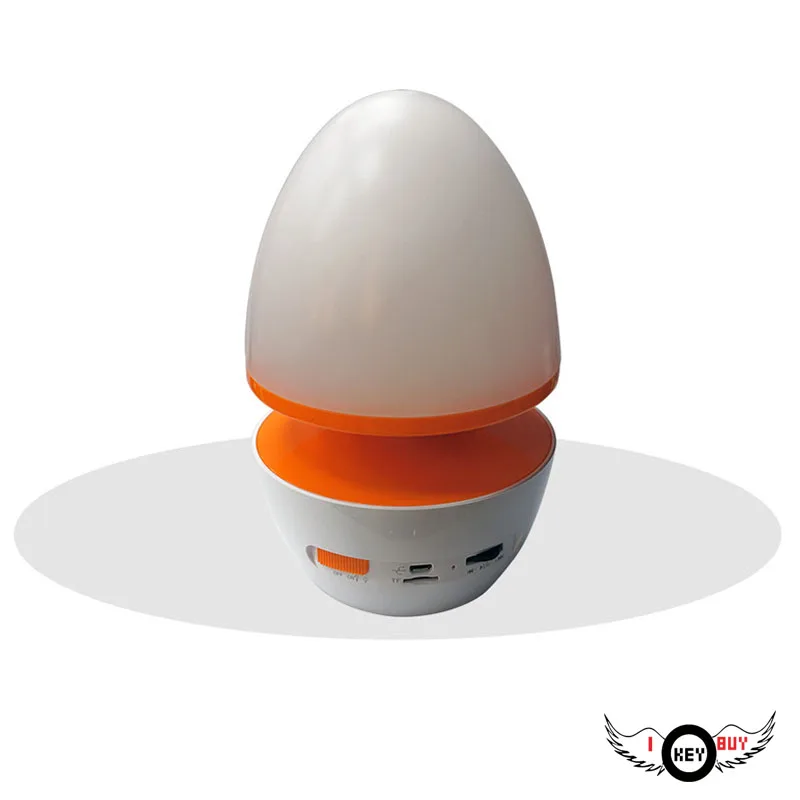 ELD lamp speaker3