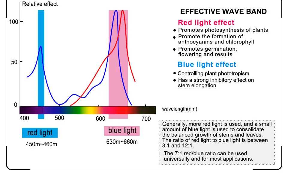 phyto lamp (4)