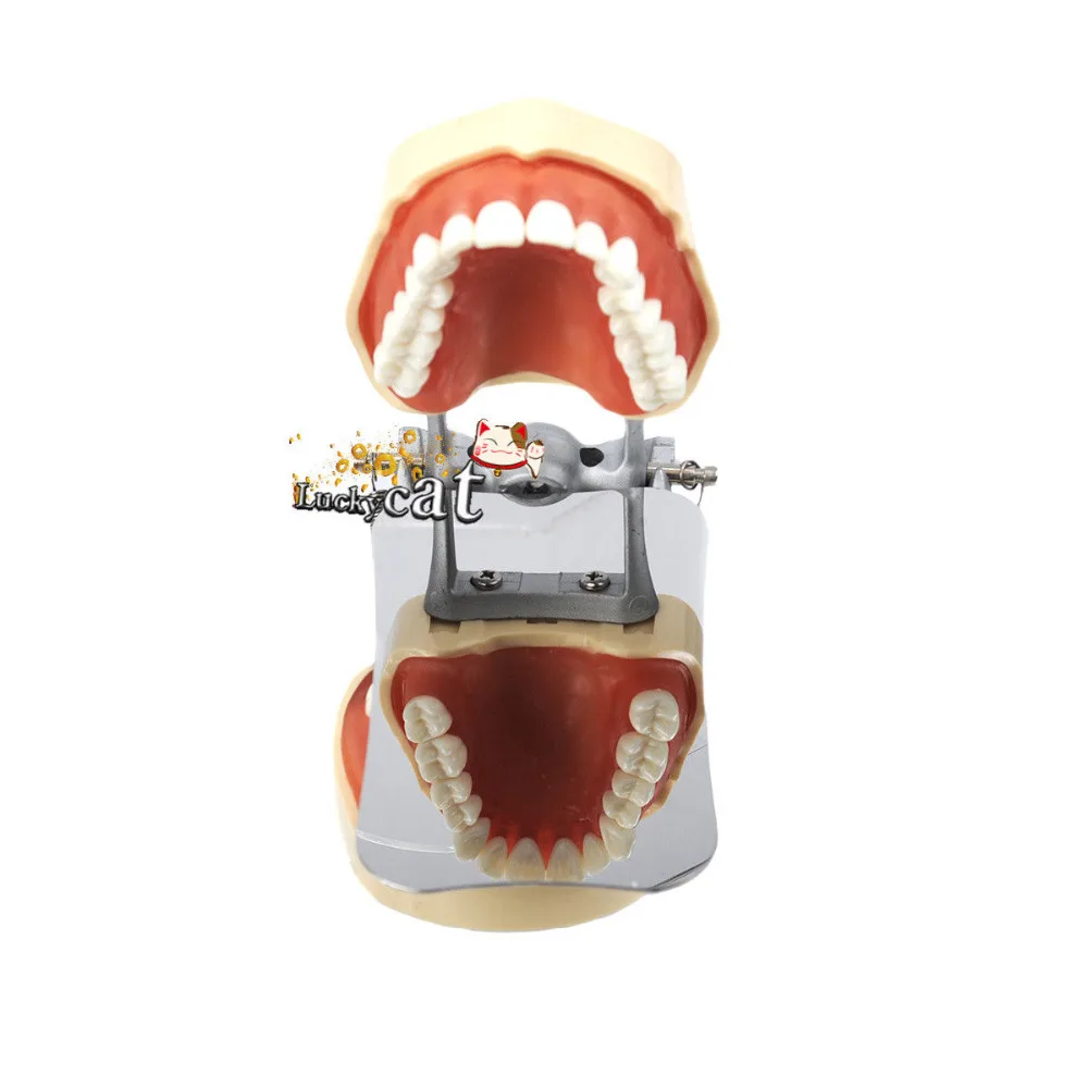 Стоматологическая клиника из нержавеющей стали фотографии зеркала односторонний ортодонтический внутренний отражатель для рта