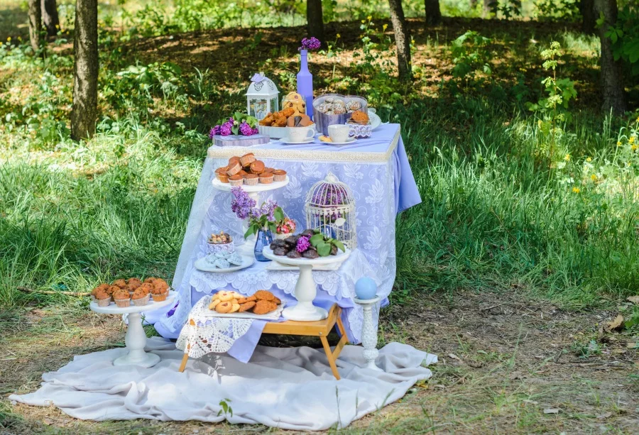 

Laeacco Outdoor Picnic Dessert Tray Grass Photography Backgrounds Customized Photographic Backdrops For Photo Studio