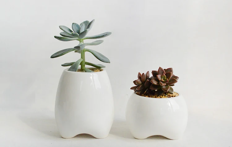 TB2.C_qdXXXXXaLXpXXXXXXXXXX_!!1878166685