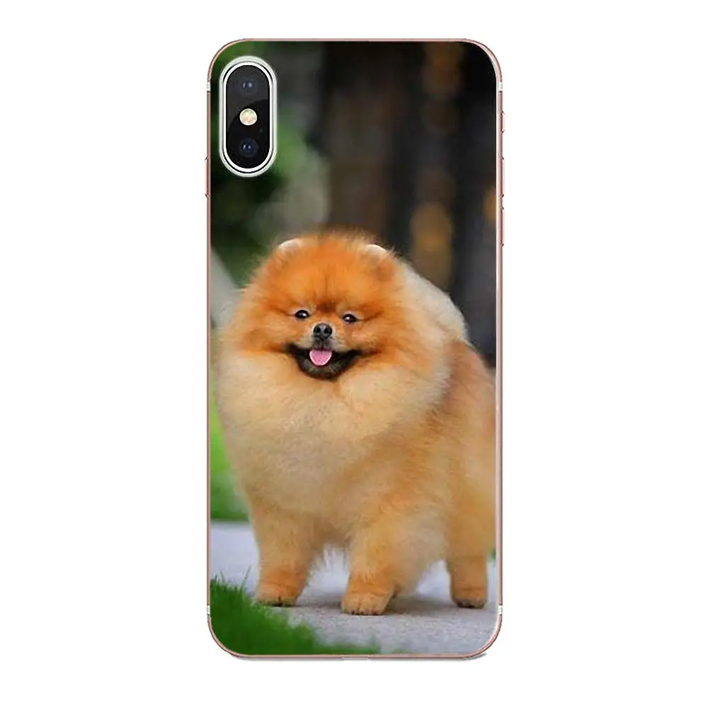 Pomeranian Dogs симпатичный чехол для Apple iPhone X XS Max XR 4 4S 5 5C 5S SE 6 6S 7 8 Plus Мягкий Силиконовый