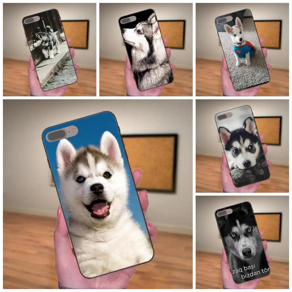 Diy рисунок ТПУ для Huawei Honor 5A 6A 6C 7A 7C 7X 8A 8C 8X 9 10 P8 P9 P10 P20 P30 Mini Lite Plus животное Хаски щенок