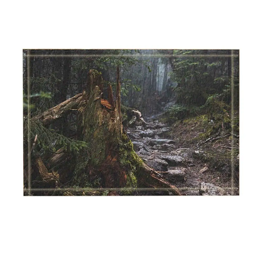 Лесной Декор сломанные старые деревья и дорожка в тропическом лесу коврики для ванной нескользящие дверной коврик пол EntrywaysDoor коврик аксессуары для ванной комнаты