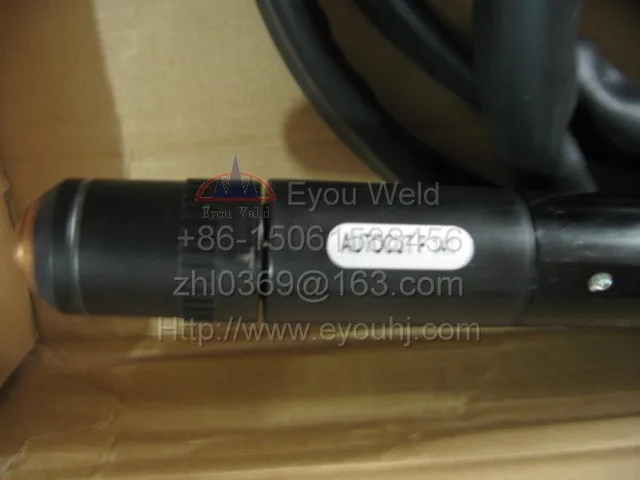 P141_torch_02