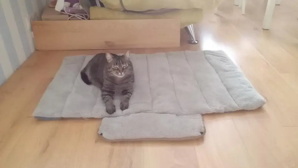 UT889esX24XXXagOFbXL