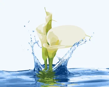 

MaHuaf-i693 Hibiscus Calla lily DIY painting by Numbers flowers Hand-painted canvas digital oil paintings for living room